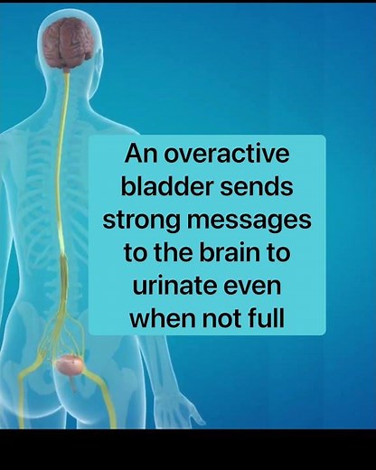 PTNS (Percutaneous Tibial Nerve Stimulation)