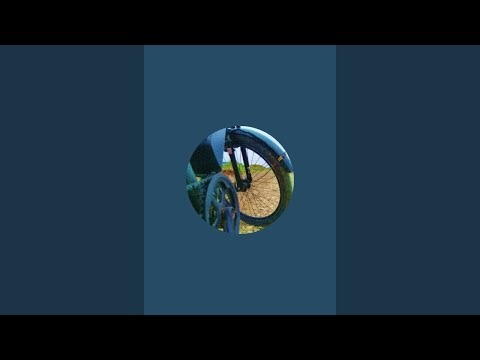 Evening Echoes: Live from the Lakeside Garden