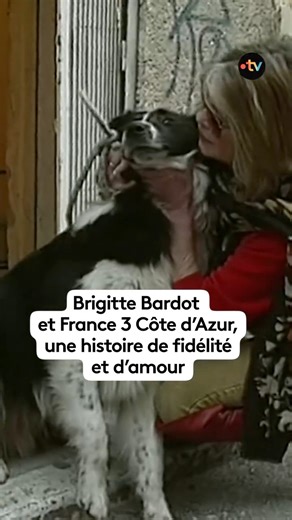 Brigitte Bardot aimait et regardait la télévision régionale, elle a donc souvent dit "oui" à France 3 Côte d'Azur pour des entretiens, surtout quand le sujet était la défense des animaux. Découvrez ces moments forts que la star a partagés avec nous. #BrigitteBardot #Bardot #SaintTropez Crédit : INA/France Télévisions/S.Lemaire | France 3 Provence-Alpes