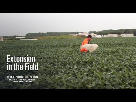 Extension in the Field: How to Use a Sweep Net