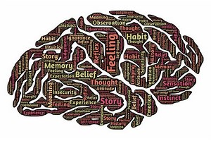 Seeing Memories Form at the Molecular Level | Neuroscience