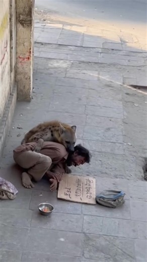 5.2M views · 43K reactions | Animal Attack Caught on Camera!  Real Jungle Fight #wildanimals #wildlife | Wildlife Animals America | Facebook