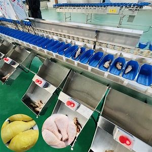 [Hot Item] Pickled Beef and Mutton Weight Combination Machine