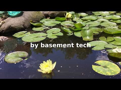 New Pond Pump - Alpine Cyclone