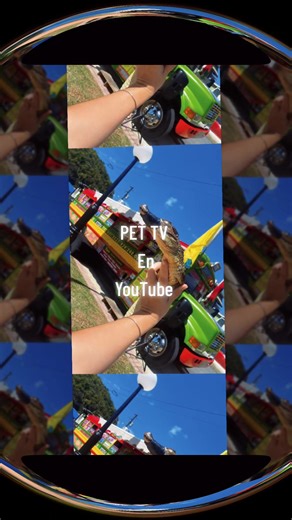 Pet Value (@pet.value5)’s videos with Push It - Young Mask