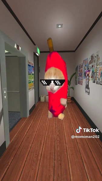 可愛い猫たちが家にやってきた！🍌😹🍍