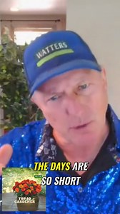 Discover the top shade trees that grow rapidly and provide ample shade. Learn about popular varieties like Sycamores, Maples, Locusts, and Ash trees. Join us as we explore their fast growth and impressive size. #FastGrowingTrees #ShadeTrees #SycamoreTrees #MapleTrees #LocustTrees #AshTrees #TreeGrowth #UrbanForestry #LandscapeDesign #Greenery | Watters Garden Center