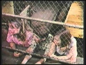 Olivia Newton John Funny Things Happen Down Under