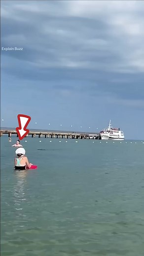 221K views · 1.7K reactions | Dolphin Appears Among Sea Bathers . #fbreels23 #fbreels #trendingreels #love #reels #Trend #viral #trending #funny #shorts | Explain Buzz | Facebook