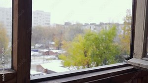 The first autumn snow of the year. Winter is slowly approaching. Autumn leaves are covered with fluffy snow. View from the window