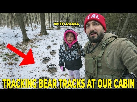 WE FOUND MORE EVIDENCE OF BEAR AT OUR CABIN