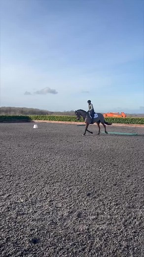 3.9K views · 282 reactions | 4 poles, 1 exercise!  In the first...