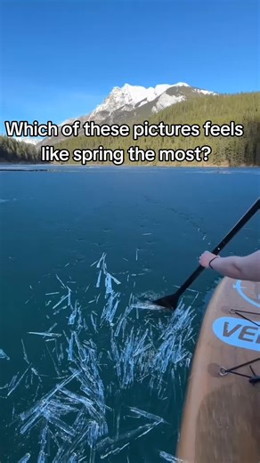 Which of these pictures feels like spring the most?🤔 #2020nostalgia #aesthetic #chilltok #fyp #relaxing