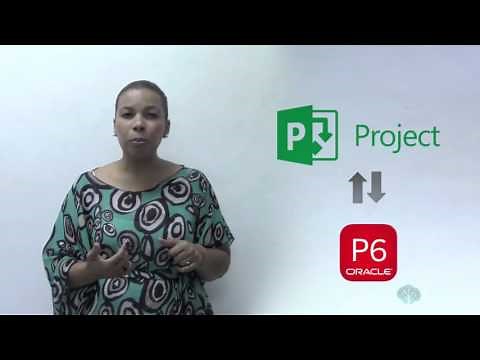 Emfim ... a diferença entre Ms Project e Primavera P6