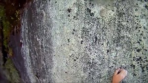 7.1K views · 260 reactions | Ever had a whipper like this? Get FREE...