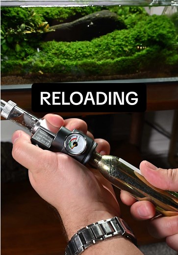 Changing the CO2 cartridge on my mini CO2 system. I’ve been using this unit by FZONE in my small shallow tank and get about 1-2 months per cartridge. It’s priced affordably and effective, but for tanks over 5 gallons, I’d recommend going bigger! Comment any questions and I’ll do my best to help. #aquarium #aquascape #co2 @Fzone-US