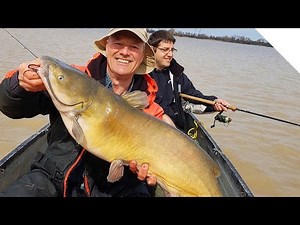 Big channel catfish using circle hooks
