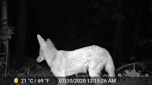 Nicholas Kristof on Reels