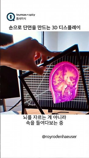 손으로 단면을 만드는 3D 디스플레이 (royrodenhaeuser)
