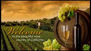 1.4K views · 97 reactions | Did you enjoy VIRTUE FALLS? Then you'll...