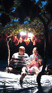 418K views · 7.9K reactions | Welcome the Spring Festival​ with grapes in the home garden | About Cooking Tv | Facebook