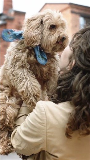 Cute Dog Kissing Her Owner💕