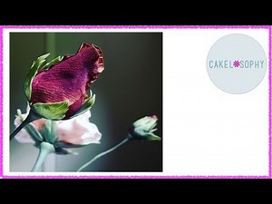 Quick Rose / Rosebud Tutorial: Sugarpaste or Clay (2021)