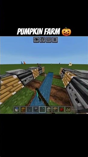 Minecraft Pumpkin Farm