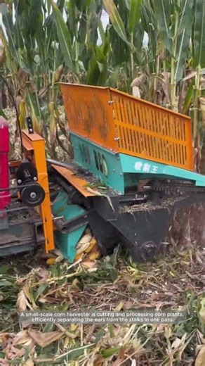 Smart Farming: Compact Corn Harvester in Action