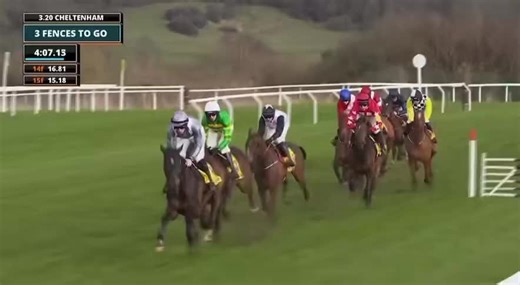 FACT TO FILE is currently entered in just one race at the 2026 Cheltenham Festival. Ryanair Chase ☘