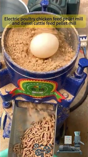 #animalfeedpelletmill #feedpelletmakingmachine #feedpelletgrindingmill #animalfeedpelletgrindingmill