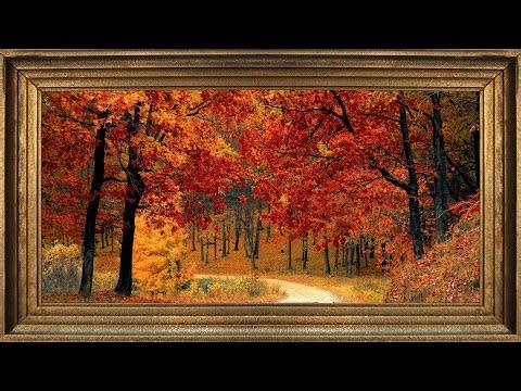 Golden Autumn Forest TV Decor | 2-Hour Loop of Fall Leaves & Nature Ambience for Relaxation