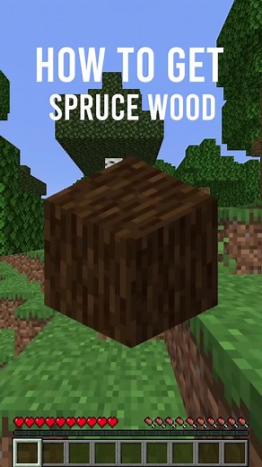 How To Get Spruce Wood Minecraft 🪵 #minecraft #minecrafttutorial