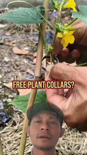 Turn PVC Pipe Into Plant Collars in 8 Seconds! 🌿 #GardenHack #DIY #shorts