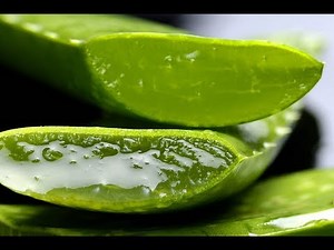 How To Use Aloe Vera For Eczema