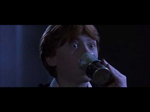 Harry Potter e a Camara Secreta : (Harry & Ron Weasley Virando Crabbe e Gregório Goyle) Dublado