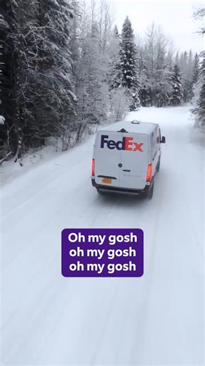 FedEx on Instagram: "Snow shoes on. ❄ Packages out for delivery. 💪"