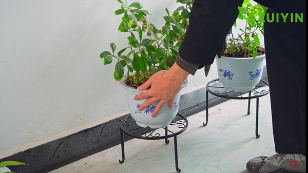 ZUIYIN 7 Pack Metal Plant Stands for Outdoor Indoor, Anti-Rust Iron Flower Pot Stands Outdoor Plant Stands, Indoor Floor Plant Holder Heavy Duty Plant Shelf for Patio, Home Garden Decor Racks(Black)