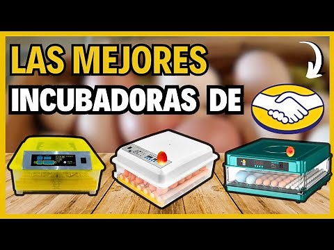 🏆 Mejores Incubadoras de MERCADO LIBRE en 2025 | Incubadoras de Huevos