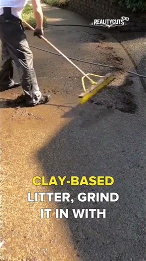 Cat Litter Removes Stubborn Driveway Oil Stains