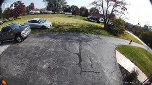 2.8K views · 8 comments | *LOST DOG* 11:05-Large poodle just walked up our driveway on W Clearview Dr in Coatesville headed towards Rt. 340. Unfortunately we weren't home to try to catch him. | Peace of Mind Pet & Farm Care | Facebook