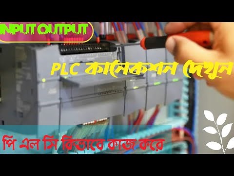 PLC কী? কিভাবে কাজ করে? | PLC Input-Output & Wiring Connection (Bangla Tutorial)"