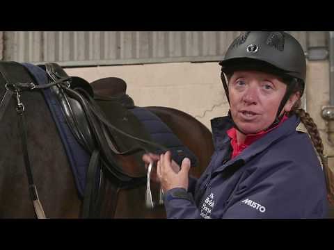 How to Prepare a Horse to Lunge