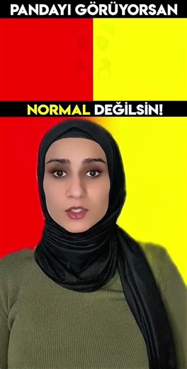 Find the panda #explore #shorts