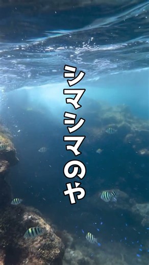 2026年 7/24 ウワサのヒリゾ浜に上陸！