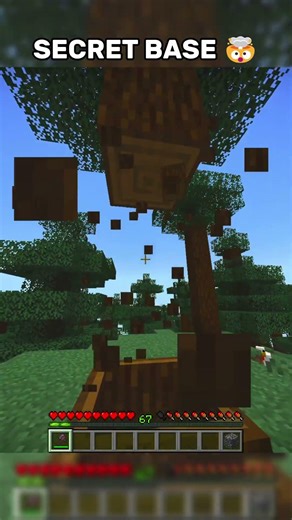 Secret Base Hidden Inside a Tree Stump🤯