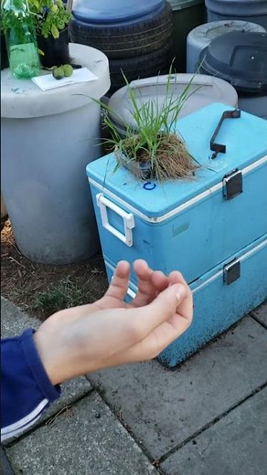 DIY Armstrong mixture from matches