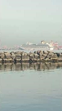 cruise ship docking Maneuver