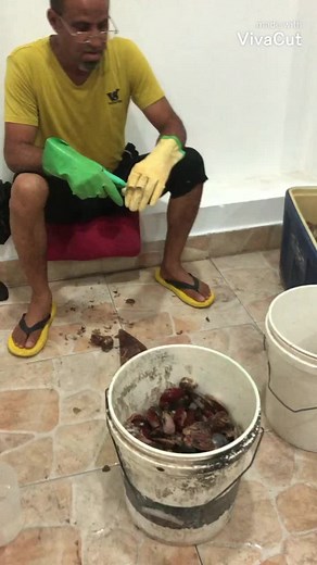 How to Properly Open and Prepare Oysters