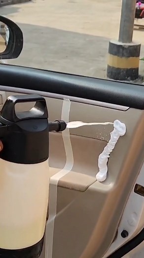 Deep interior cleaning with swarn grass review | #nittorai #shortsfeed | Nitto Rai